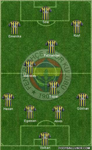 Fenerbahçe SK Formation 2013