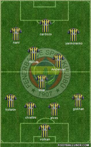 Fenerbahçe SK Formation 2013