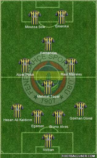 Fenerbahçe SK Formation 2013