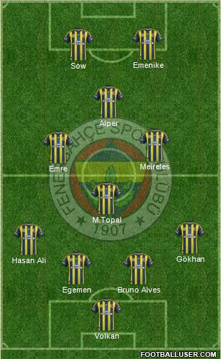 Fenerbahçe SK Formation 2013