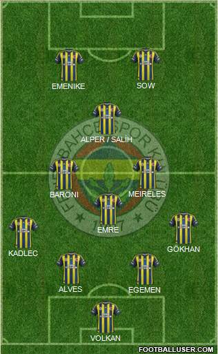 Fenerbahçe SK Formation 2013