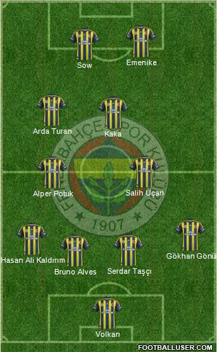 Fenerbahçe SK Formation 2013