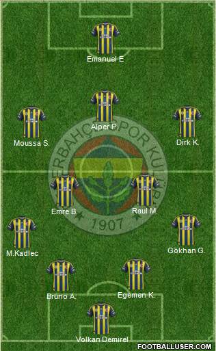 Fenerbahçe SK Formation 2013