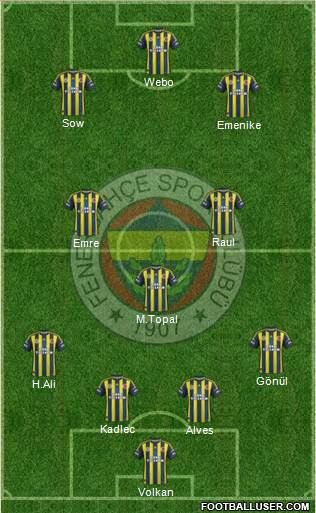Fenerbahçe SK Formation 2013