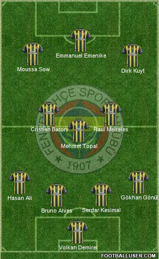 Fenerbahçe SK Formation 2013