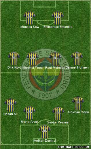 Fenerbahçe SK Formation 2013