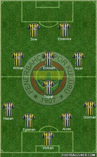 Fenerbahçe SK Formation 2013