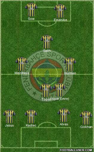 Fenerbahçe SK Formation 2013