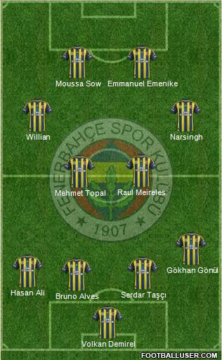 Fenerbahçe SK Formation 2013