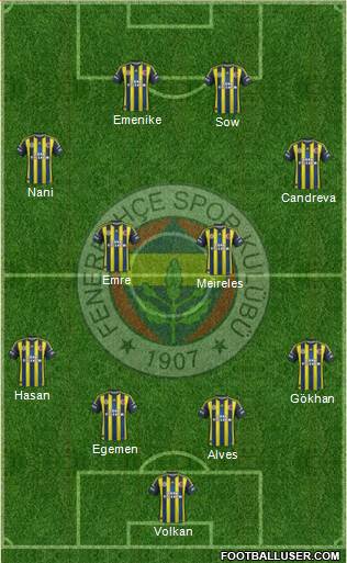 Fenerbahçe SK Formation 2013