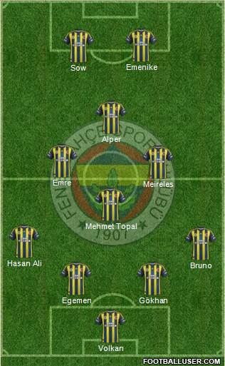 Fenerbahçe SK Formation 2013