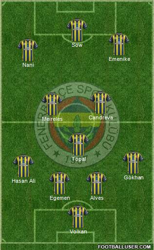 Fenerbahçe SK Formation 2013