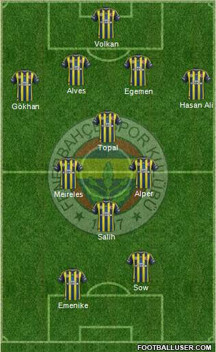 Fenerbahçe SK Formation 2013