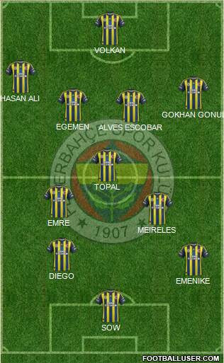 Fenerbahçe SK Formation 2013