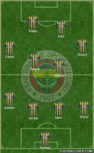 Fenerbahçe SK Formation 2013