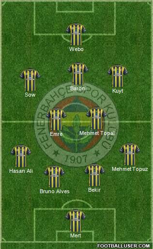 Fenerbahçe SK Formation 2013