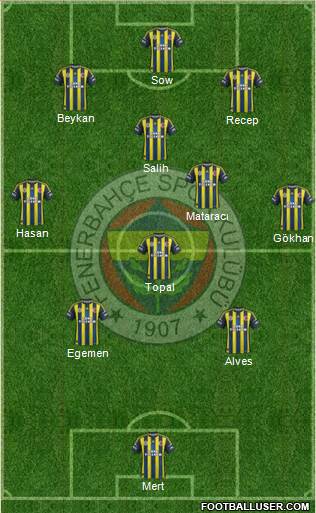 Fenerbahçe SK Formation 2013