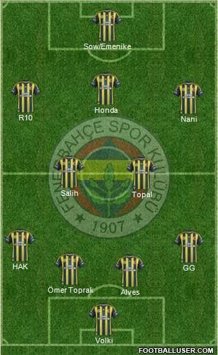 Fenerbahçe SK Formation 2013