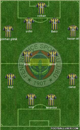 Fenerbahçe SK Formation 2013
