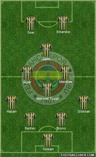 Fenerbahçe SK Formation 2013