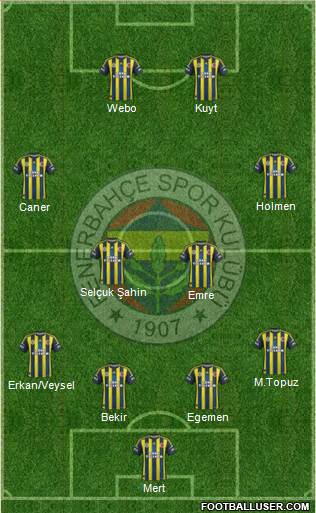 Fenerbahçe SK Formation 2013