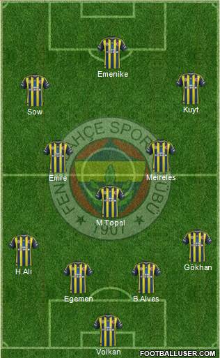 Fenerbahçe SK Formation 2013