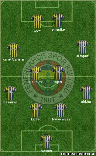 Fenerbahçe SK Formation 2013