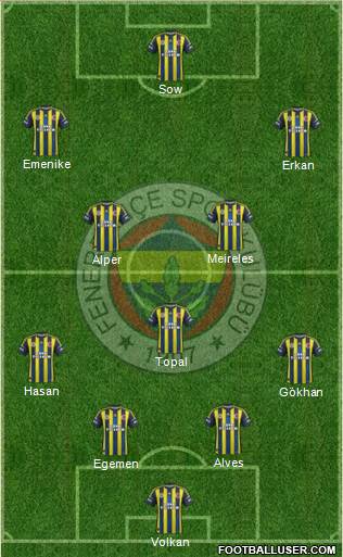 Fenerbahçe SK Formation 2013