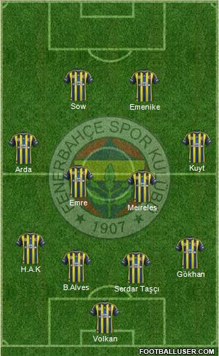 Fenerbahçe SK Formation 2013