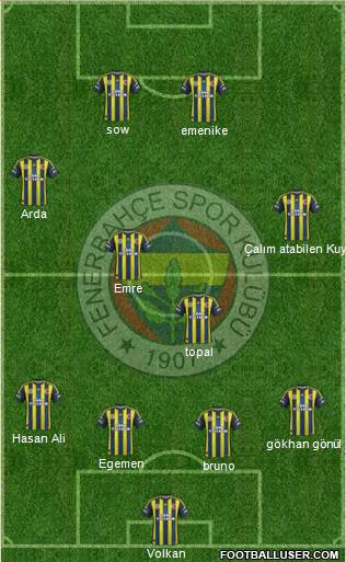 Fenerbahçe SK Formation 2013