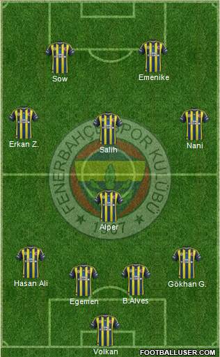 Fenerbahçe SK Formation 2013