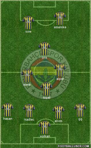 Fenerbahçe SK Formation 2013