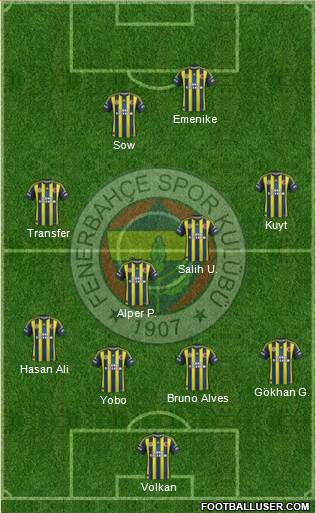 Fenerbahçe SK Formation 2013