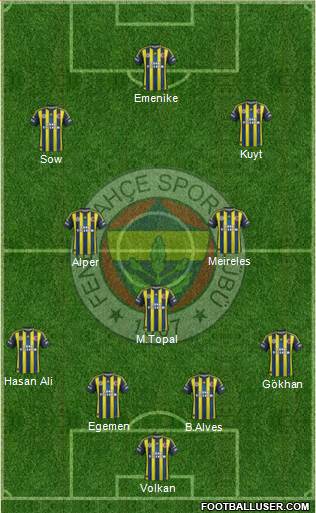 Fenerbahçe SK Formation 2013