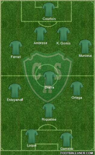 Sarmiento de Junín Formation 2013