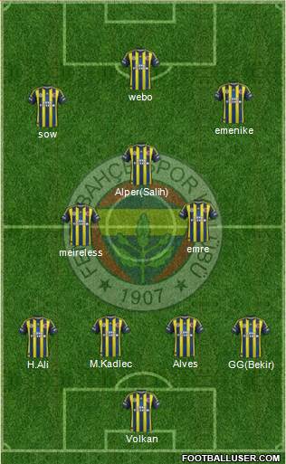 Fenerbahçe SK Formation 2013