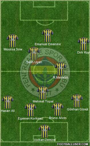 Fenerbahçe SK Formation 2013