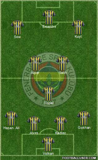 Fenerbahçe SK Formation 2013