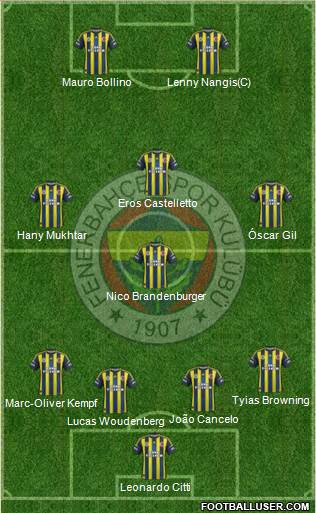 Fenerbahçe SK Formation 2013