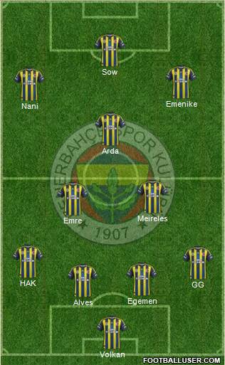 Fenerbahçe SK Formation 2013