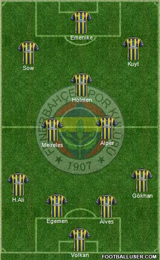 Fenerbahçe SK Formation 2013