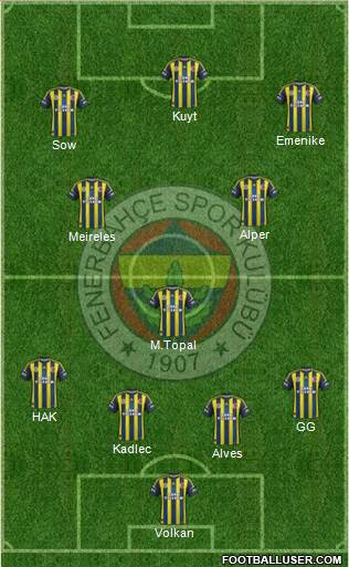 Fenerbahçe SK Formation 2013