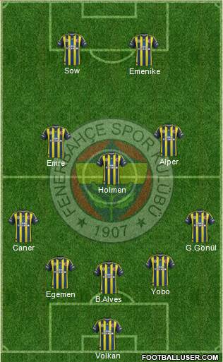 Fenerbahçe SK Formation 2013