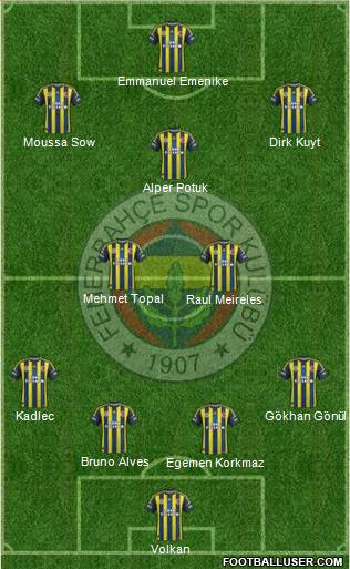 Fenerbahçe SK Formation 2013