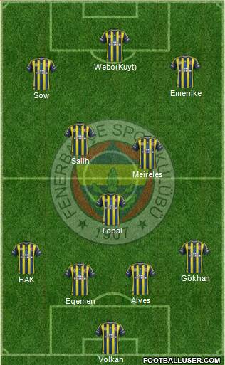 Fenerbahçe SK Formation 2013