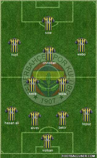 Fenerbahçe SK Formation 2013