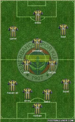 Fenerbahçe SK Formation 2013