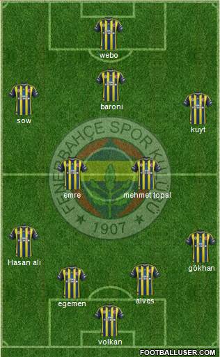 Fenerbahçe SK Formation 2013
