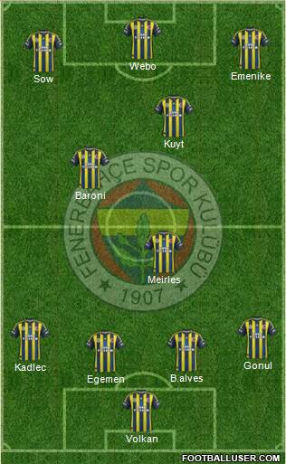 Fenerbahçe SK Formation 2013
