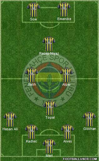 Fenerbahçe SK Formation 2013